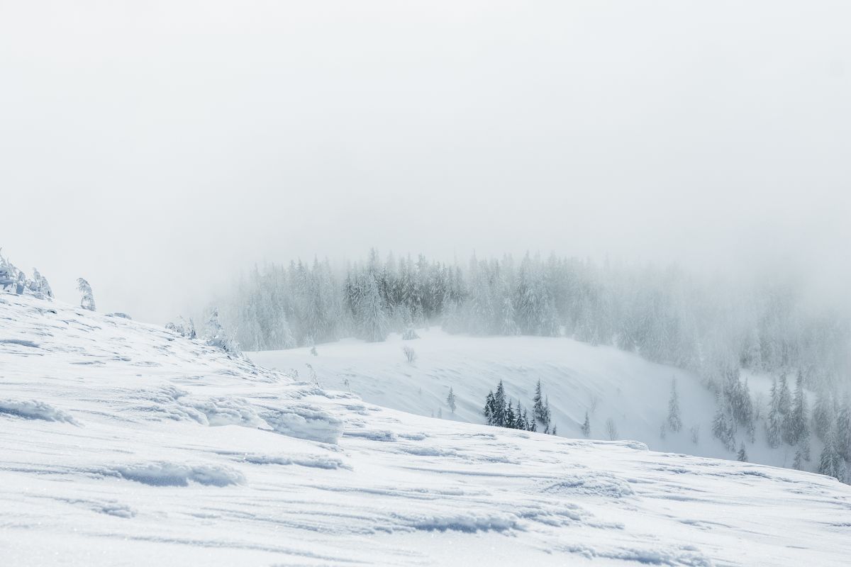 Mountain snow.